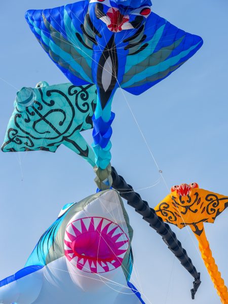 Rencontres Internationales de Cerfs-Volants de Berck-sur-Mer