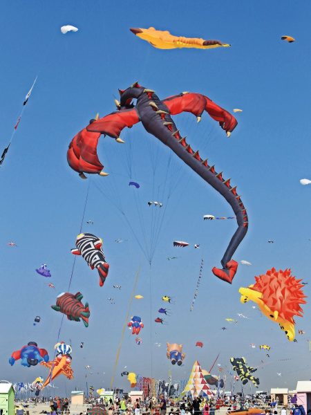 RICV Berck sur mer-®AS Flament