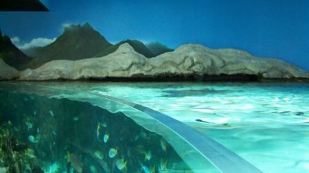 Aquarium - la Rochelle