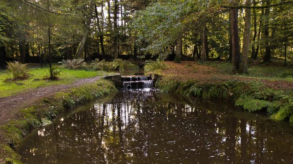 Bosque de Brocéliande