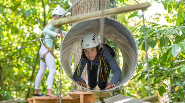 On fait un parcours d'accrobranche