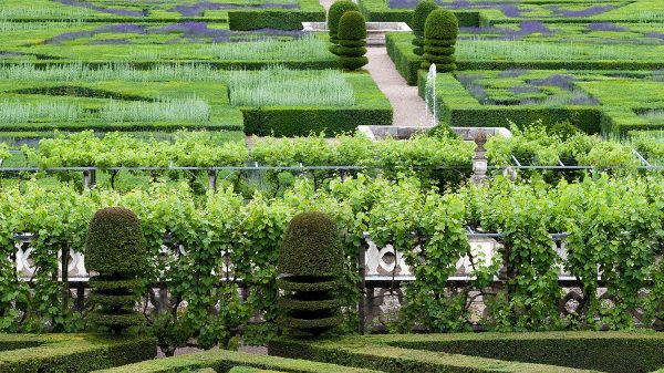 Les jardins du château de Villandry
