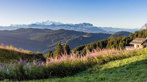  Sonnenaufgang über dem Mont-Blanc-Land