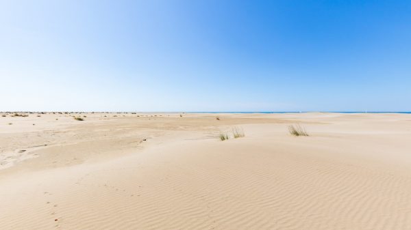 Espiguette beach in Grau-du-Roi