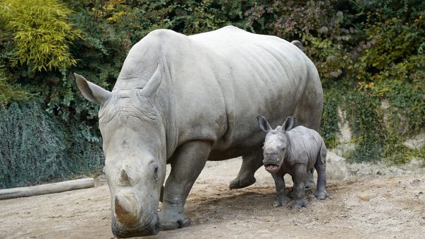 Amnéville Zoological Park