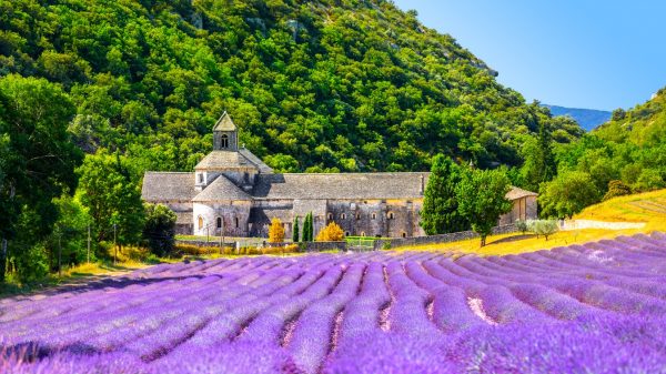 Abbaye de Senanque, en Provence