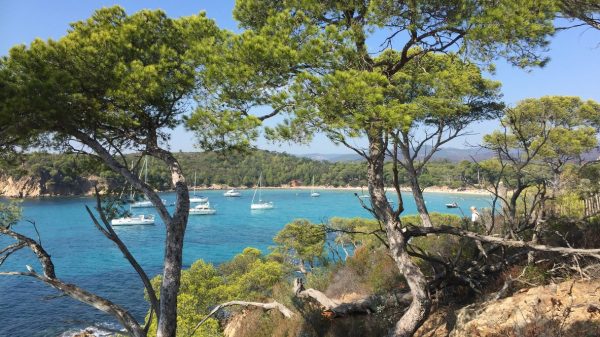ile de Port-Cros