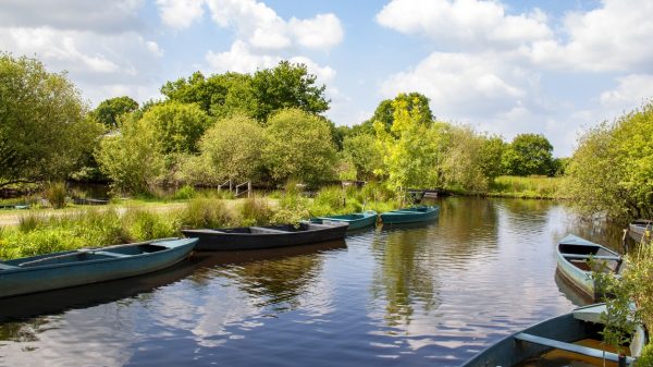 Marais de la Brière, Loire-Atlantique