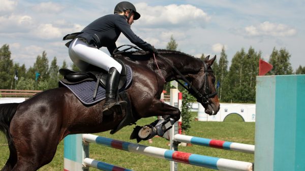 Jumping International de Bordeaux