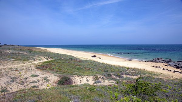 Paysage sauvage de l'Île d'Yeu