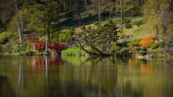Oriental Park of Maulévrier