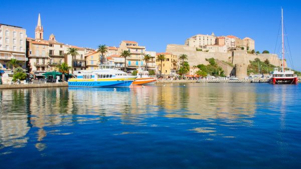 Calvi