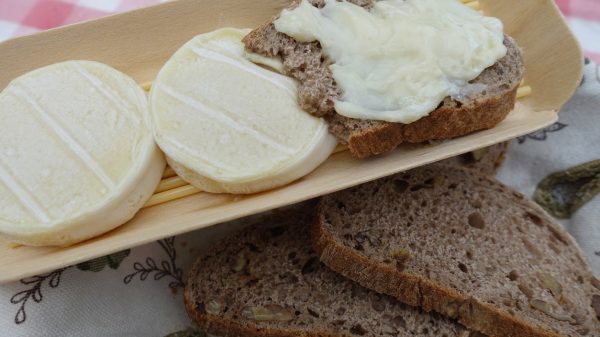 Rocamadour AOC goat's cheese