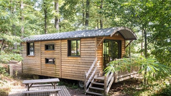 Unusual camping accommodation in the middle of the forest