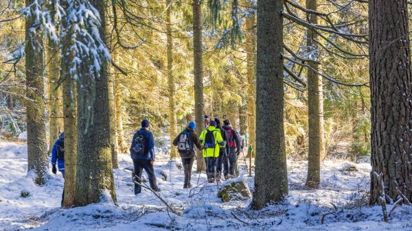 Nordic Walking