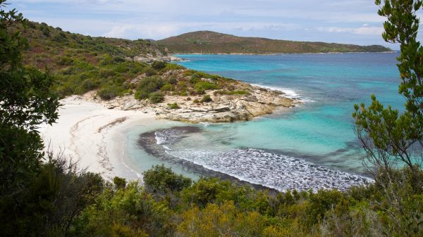 Strand von Saleccia in der Wüste von Agriates