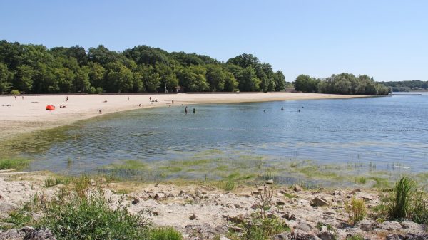 One of the six beaches on Lac du Der