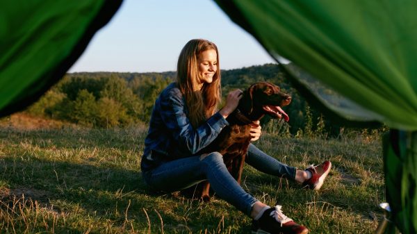 Camping with your dog