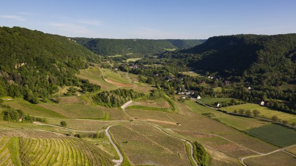 Les vignes du Jura