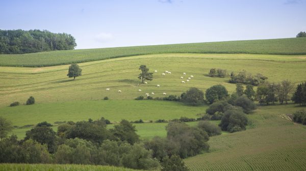 Vista de las llanuras de Morvan desde Mont Beuvrey 