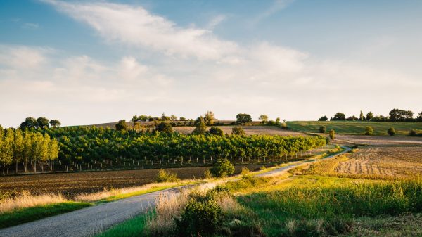 Route de campagne dans le Gers