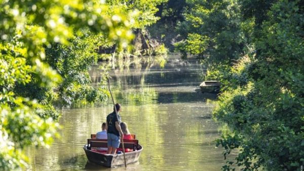 Le Marais Sauvage, Le Mazau (85)