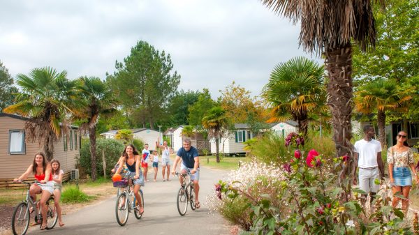 Camping Les Vignes, Lit-et-Mixe (40)