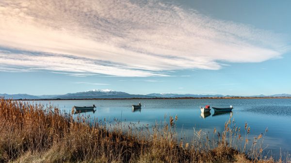 L'étang de Canet-Saint-Nazaire et vue sur le mont Canigou