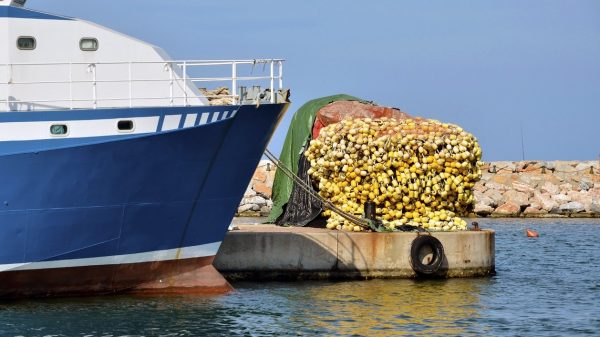 Haven van Saint-Cyprien