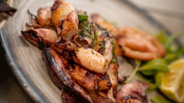 Les délicieux chipirons, calamars grillés, spécialité landaise.