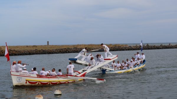 Concours de joute nautique à Valras plage