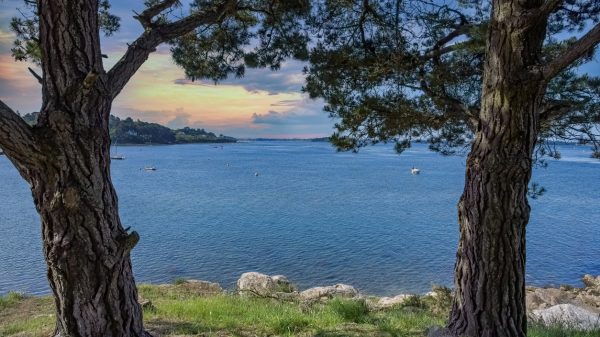 Vue su rle golfe du Morbihan et l'île aux moines