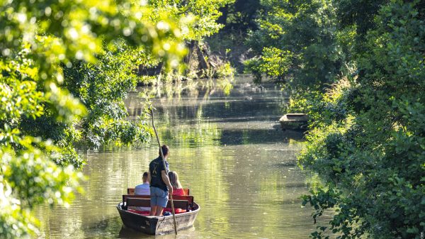 Le Marais Sauvage, Le Mazau (85)