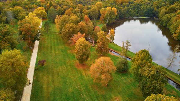 Forêt de Rambouillet