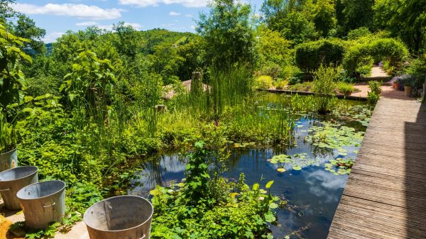Le jardin des Paradis
