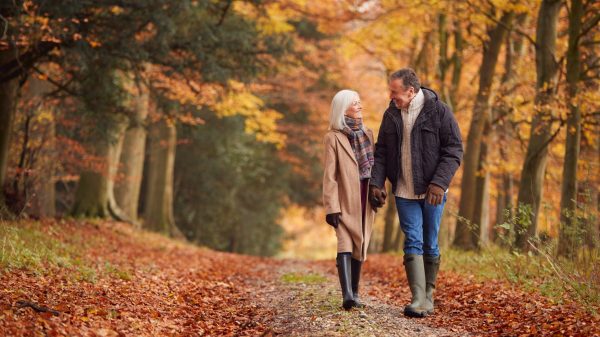 Balades romantiques en forêt
