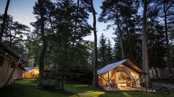 Ambiance cocoon et sauvage en camping