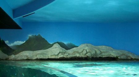 Aquarium von La Rochelle