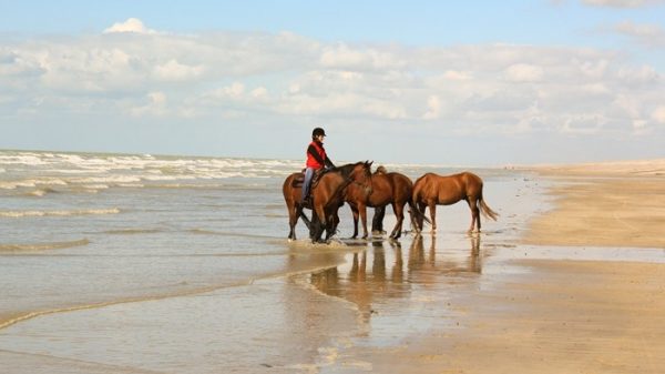 Campingfrance.com