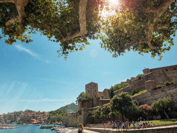 Koninklijk Kasteel van Collioure