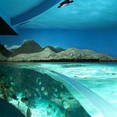 Aquarium de La Rochelle