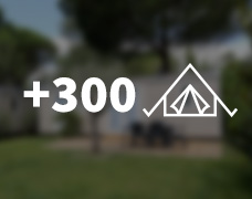 More than 300 plots